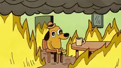 Dog sitting calmly in a burning room