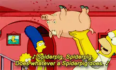 Homer holds pig while singing Spiderpig