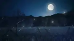 Moonlit night with fireflies