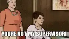 You're Not My Supervisor