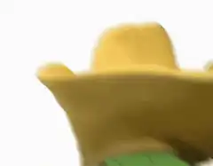 Pepe the Frog wearing a cowboy hat