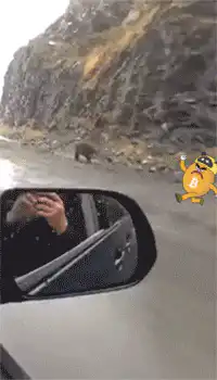 Bear running on road with Bitcoin mascot