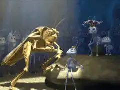Grasshopper explains food chain