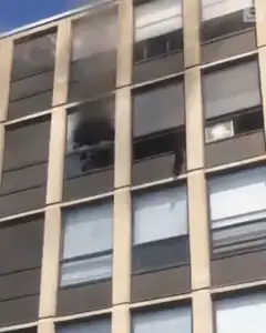 Cat jumps from burning building