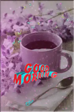 Good Morning purple cup flowers
