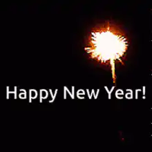 Happy New Year fireworks