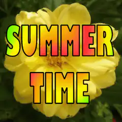 Summer Time Flower Animation