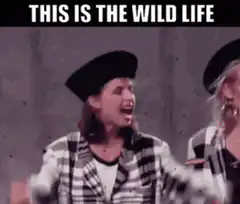 This is the wild life