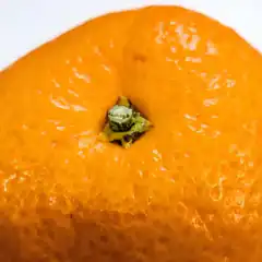 Close-up of an orange fruit