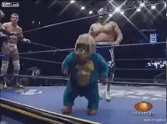 Wrestler hits gorilla mascot