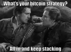 All in and keep stacking bitcoin