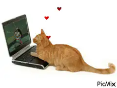 Cat in love with laptop character