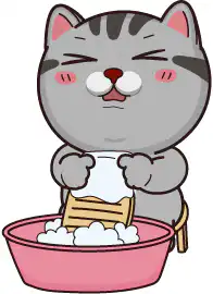 Cat washing clothes with soap