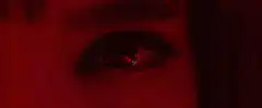 Close up of a red eye