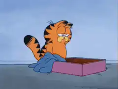 Garfield falls asleep in a box