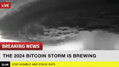 2024 Bitcoin Storm Brewing