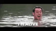 I'm Alive Alligator
