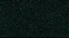 nostr logo animation