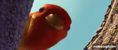 Red bird swoops down on ants