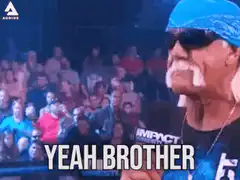Hulk Hogan Yeah Brother