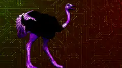purple ostrich laser beam