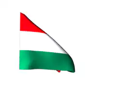 Hungarian flag waving