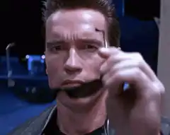 Arnold Schwarzenegger puts on sunglasses