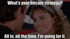 What's your bitcoin strategy? All in, all the time.