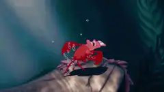 Sebastian the crab singing