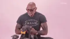 Dave Bautista cuddles a puppy