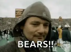 Bear Down Bears Fan