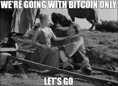 We're Going With Bitcoin Only Let's Go