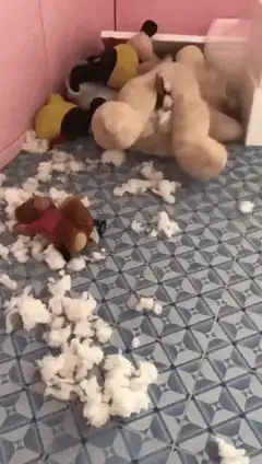 stuffed animals ripping each other apart
