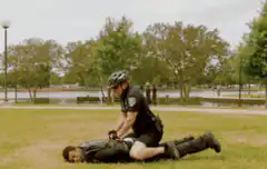 police officer handcuffing man on grass