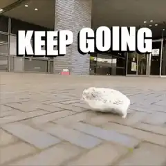 Hedgehog keeps going
