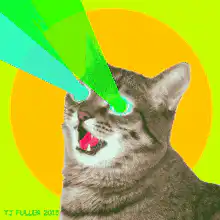 Cat with laser eyes