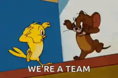 Tom and Jerry We're a Team
