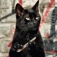 Black cat holding a nail