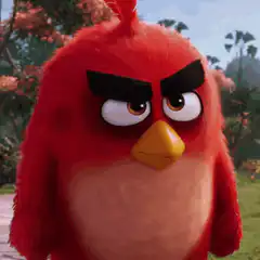 Angry Bird Red squinting and sighing