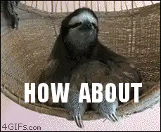 Sloth shaking head no
