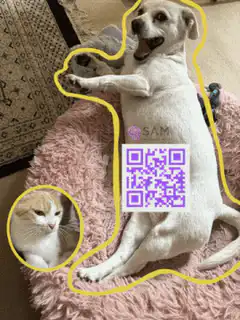 dog and cat with qr code
