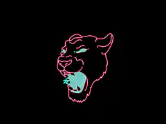 Neon outline animals and objects