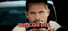 Paul Walker Ride or Die