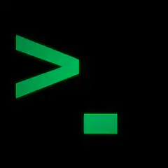 Green terminal prompt on black background