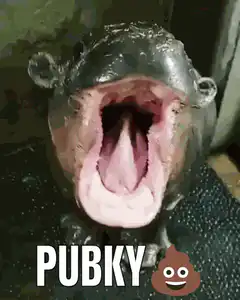 Hippo yawning with text PUBKY