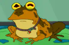 Crying frog with big yellow eyes