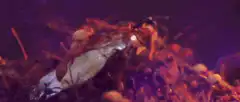 Blonde woman dancing in a club