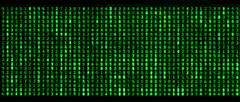 Matrix-style green digital rain