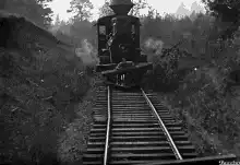 Steam train clears tracks with pole
