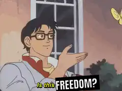 Is this freedom? butterfly